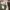 nike v2k  photo 2