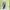 DRESS KATUN TURTLENECK photo 2