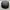 Topi pet photo 3