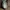 Dress Sage Green Puff Sleeve Dress – Inman Cotton Gingham