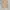 Vintage Mirek Exquisite Tweed Blazer photo 1