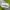 NEW SAMSUNG GALAXY TAB S7 FE 5G  photo 1