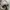 Converse Chuck Taylor All Star 70S High Black White photo 7