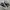 Converse Chuck Taylor All Star 70S High Black White photo 1