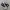 Converse Chuck Taylor All Star 70S High Black White photo 2