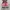 Converse Chuck Taylor All Star 70S OX Low Pink Egret photo 5