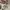 Converse Chuck Taylor All Star 70S OX Low Pink Egret photo 7