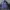 Denim Jacket Scent by London dark blue photo 1