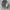 Jacket Urbanology Green photo 1