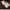 Yves Saint Lauren Leopard Print Knitt Jumper photo 6