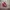 Vans authentic  photo 3