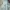 Baleno Blue Washed Jeans Boots Cut Fit photo 4