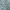 Baleno Blue Washed Jeans Boots Cut Fit photo 6
