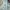 Baleno Blue Washed Jeans Boots Cut Fit photo 1