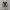Converse Chuck Taylor All Star 70S High Black White photo 4