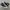 Converse Chuck Taylor All Star 70S High Black White photo 1