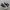 Converse Chuck Taylor All Star 70S High Black White photo 2