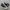 Converse Chuck Taylor All Star 70S High Black White