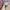 Atasan knit Love Bonito photo 4