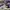 VALENTINO GARAVANI OVERSIZE LOGO VINTAGE RUNNER SNEAKERS , V
