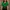 Green Knit Crop Top Size M photo 1