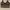 H&M Vintage Y2K Crop Top Wanita White Brown