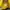 PANAMA JACK Yellow Boots size 40 Made in Spain photo 4