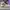 AIR JORDAN 1 RETRO HIGH SB DEFIANT NYC TO PARIS photo 3