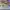 AIR JORDAN 1 RETRO HIGH SB DEFIANT NYC TO PARIS photo 5