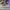AIR JORDAN 1 RETRO HIGH OG FLYKNIT WOLF GREY photo 3