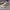 AIR JORDAN 1 RETRO HIGH OG FLYKNIT WOLF GREY photo 1