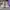 AIR JORDAN 1 RETRO HIGH OG FLYKNIT WOLF GREY photo 2
