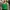 Adidas Green Top Size S photo 1
