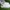 Adidas Nizza HI wmn photo 1