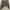 crop blazer abu photo 1