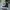 Rick Owens Goth Avant Garde Sneakers Pria white black photo 2