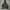 Hoodie Abercrombie
