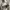 Converse Chuck Taylor All Star 70S High Khaki Braun photo 7