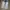 Nike React photo 2