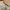 Veja Esplar Logo Leather Sneaker photo 1