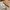 Veja Esplar Logo Leather Sneaker