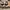 Veja Esplar Logo Leather Sneaker photo 2