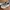 Adidas Edge Bounce Women Sneakers photo 3