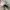 Converse Chuck Taylor All Star 70S High Black White photo 7