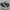 Converse Chuck Taylor All Star 70S High Black White photo 1