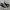 Converse Chuck Taylor All Star 70S High Black White