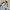HELLY HANSEN HELLY TECH SNOWBOARD JACKET photo 2