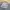 HELLY HANSEN HELLY TECH SNOWBOARD JACKET photo 6
