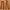 Lvs Pants Womens Ribcage Wide Leg Corduroy Caramel Cafe Boho
