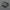 Sling Bag Slazenger photo 1